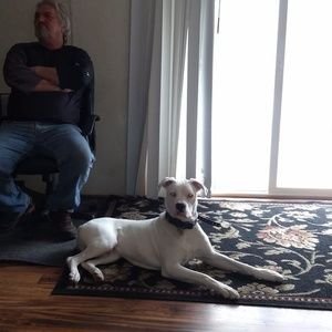 Meet your Posher, Judy